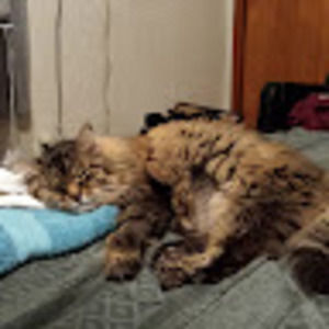 Meet your Posher, Freddy